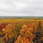 Bed & Breakfast Le Clos Du Moulin Vaudemange