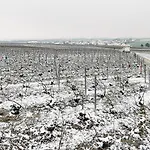 Le Clos Du Moulin