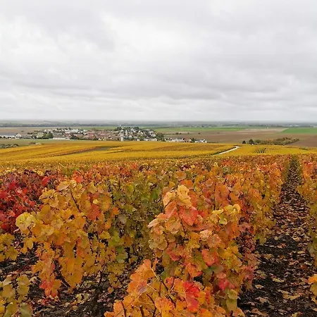 Panzió Le Clos Du Moulin Vaudemange