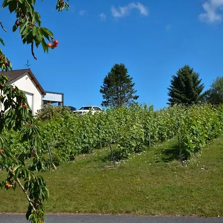 Bed & Breakfast Le Clos Du Moulin Vaudemange