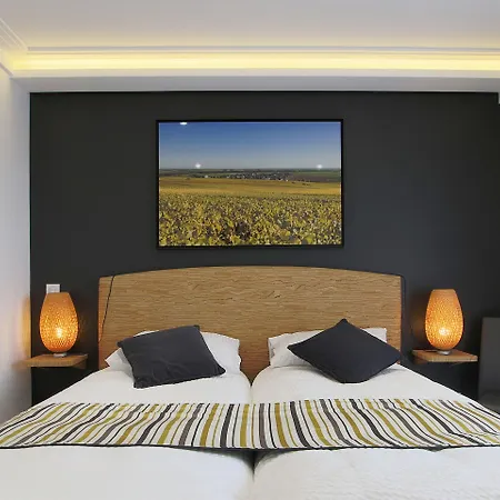 Le Clos Du Moulin Bed & Breakfast Vaudemange
