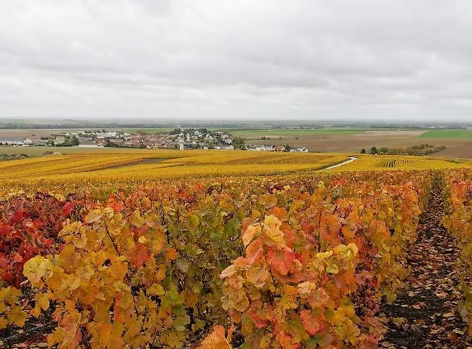 Bed & Breakfast Le Clos Du Moulin Vaudemange