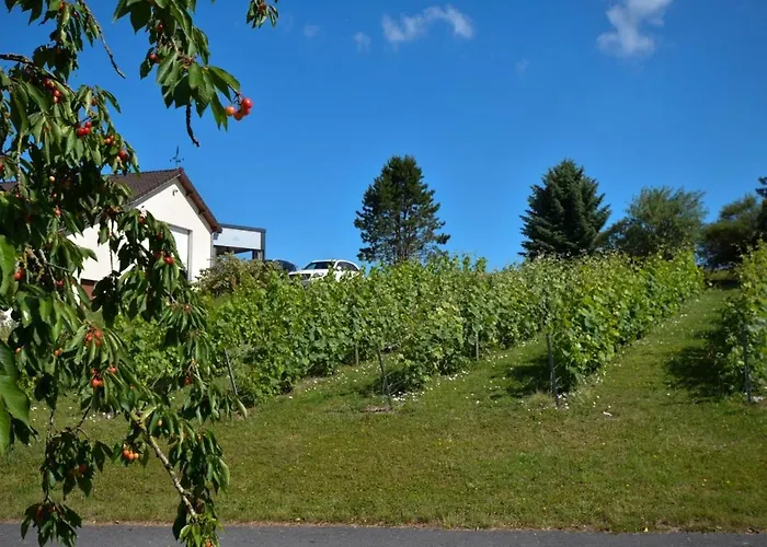 Bed & Breakfast Le Clos Du Moulin Vaudemange